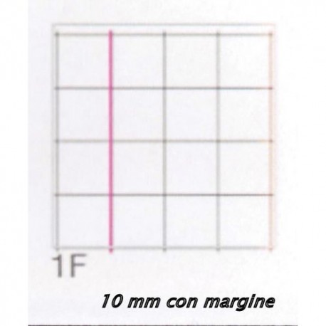 INGROSSO MAXI MONOCROMO 100g. 1F C.10 P.50.073