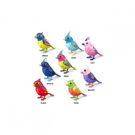 INGROSSO DIGIBIRDS II UCCELLINO
