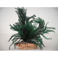 INGROSSO CESPUGLIO PICCOLO PZ.2