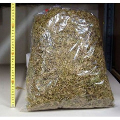 INGROSSO MUSCHIO 10 DOSI