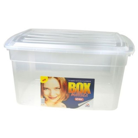 INGROSSO BOX LT.50 CM.50X40XH37