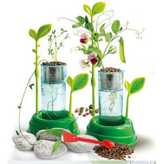 INGROSSO BOTANICA & IDROCOLTURA