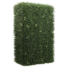 INGROSSO SEMPREVERDE DEAUVILLE B