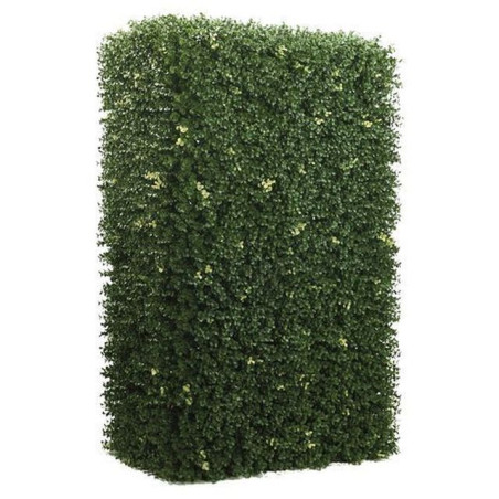 INGROSSO SEMPREVERDE DEAUVILLE B