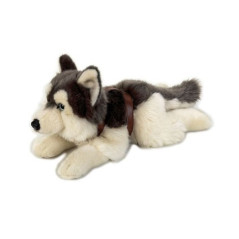 INGROSSO LAPO SIBERIAN HUSKY 40C