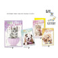 BIGLIETTI COMPLEANNO BC.5384 C.12 EAN 8001608753840 INGROSSO BIGLIETTI COMPLEANNO