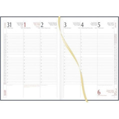 INGROSSO AGENDA SETTIMANALE 17X2