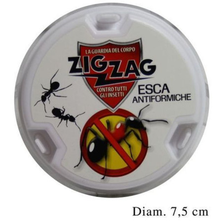 INGROSSO ZIG ZAG ESCA INSETTICID