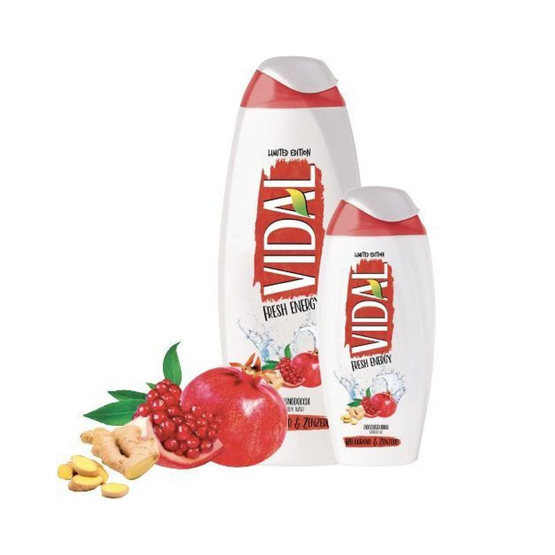 VIDAL BAGNO 500ML. FR. ENERGY & ZENZERO EAN 8008970046853 INGROSSO DETERSIVI