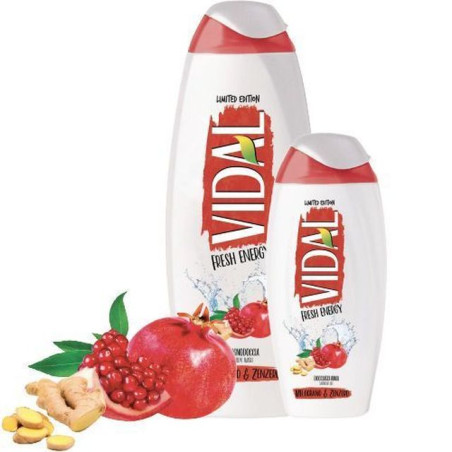 VIDAL BAGNO 500ML. FR. ENERGY & ZENZERO EAN 8008970046853 INGROSSO DETERSIVI