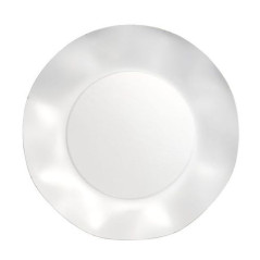 INGROSSO PIATTI PLASTIF. GRANDI