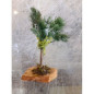 ALBERELLI 3PZ ART.B0940 EAN 8024949129402 INGROSSO ACCESSORI PER IL PRESEPE