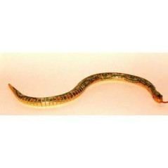 INGROSSO SERPENTE LEGNO