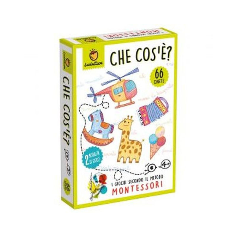 CARTE MONTESSORI - CHE COS'E' EAN 8008324082001 INGROSSO GIOCHI CREATIVI