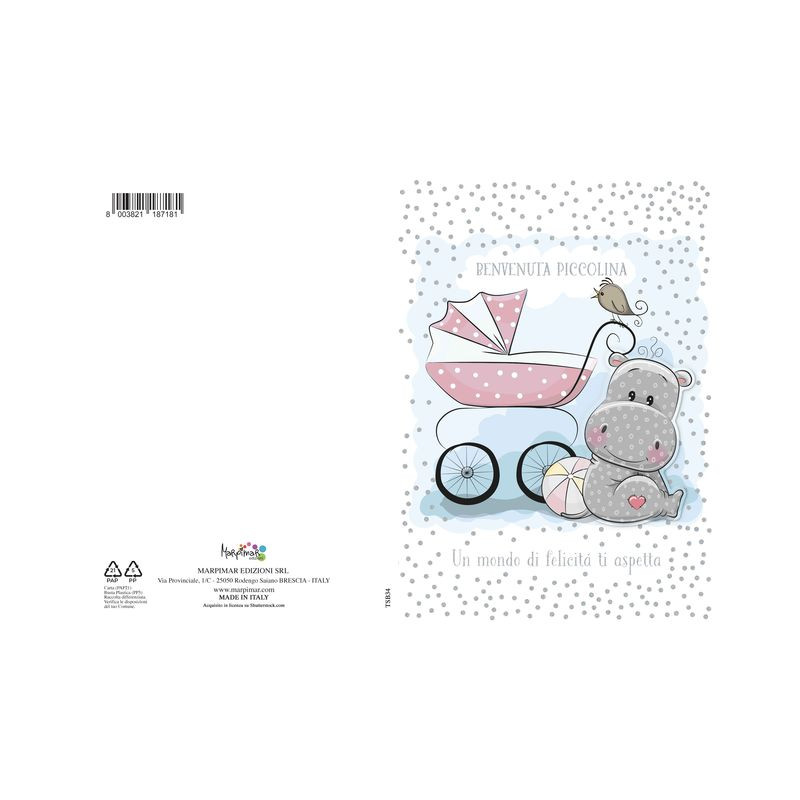 BIGLIETTO NASCITA ROSA SP. C/APPL. C.12 EAN 8003821187181 INGROSSO BIGLIETTI NASCITA