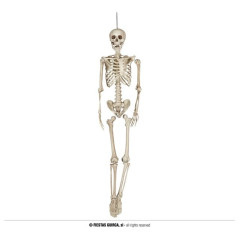 INGROSSO SCHELETRO 160 CM