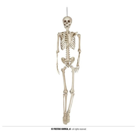 INGROSSO SCHELETRO 160 CM