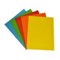 CARTELLA SEMPLICE 200GR. ASS. CF.25PZ. 25.5X33.5CM EAN 8033593016440 INGROSSO COPERTINE SEMPLICI E DIVISORI