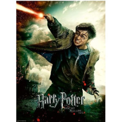 INGROSSO PUZZLE PZ.100 HARRY POT
