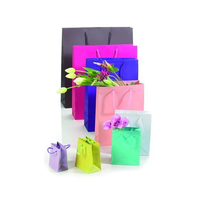 BUSTA SHOPPER CARTA F/P 7X10+5 12 EAN 8013170468534 INGROSSO SACCHETTI E SHOPPER REGALO