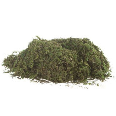 INGROSSO MUSCHIO 5 DOSI