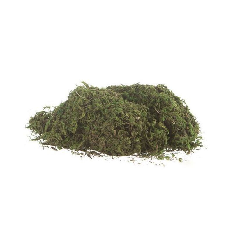 MUSCHIO 5 DOSI ART.111 EAN 8900111000000 INGROSSO ACCESSORI PER IL PRESEPE