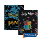 CARTELLINA ELASTICI DS01 HARRY POTTER EAN 8055714095745 INGROSSO CARTELLINE