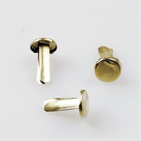 INGROSSO FERMACAMPIONI MM.20 PZ.