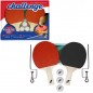 SET PING PONG CHALLENGE EAN 8005586205339 INGROSSO PING PONG SET PING PONG CHALLENGE EAN 8005586205339 INGROSSO PING PONG
