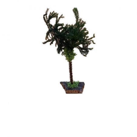 INGROSSO PALMA SEMPLICE