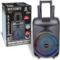 CASSA TROLLEY WIRELESS CON 2 MICROFONI EAN 0047663376349 INGROSSO ACCESSORI MUSICALI