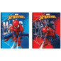 CARTELLINA ELAST. DS01 SPIDER-MAN EAN 8055714230214 INGROSSO CARTELLINE