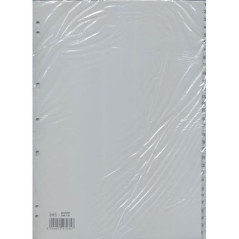 INGROSSO CARTOLERIA SEPARATORI RECORD RA4 1-31 8004972270357 INGROSSO RACCOGLITORI RICAMBI BUSTE TRASPARENTI