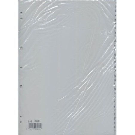 INGROSSO CARTOLERIA SEPARATORI RECORD RA4 1-31 8004972270357 INGROSSO RACCOGLITORI RICAMBI BUSTE TRASPARENTI