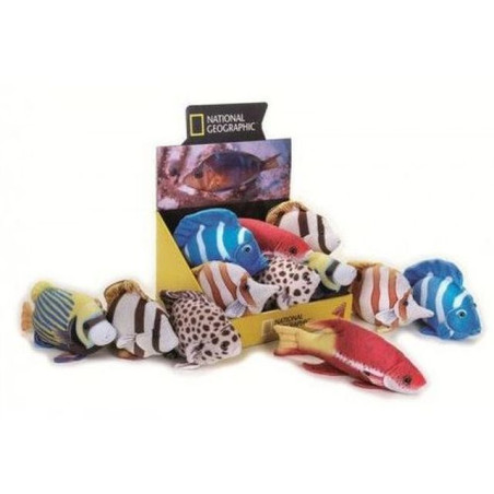 INGROSSO PESCI TROPICALI 21/26CM LELLY NATIONAL GEOGRAPHIC 8004332707929 INGROSSO GIOCHI E GIOCATTOLI