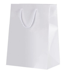 INGROSSO CARTOLERIA SHOPPER MM.100X220X60 F.LUCIDA 0781901800000 INGROSSO ARITCOLI PER CONFEZIONI SACCHETTI E SHOPPER REGALO