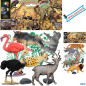 BUSTA ZOO GITA NELLA SAVANA ASS. EAN 8057438021550 INGROSSO BUSTE ANIMALI GIOCATTOLO BUSTA ZOO GITA NELLA SAVANA ASS. EAN 8057438021550 INGROSSO BUSTE ANIMALI GIOCATTOLO