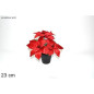 STELLA DI NATALE C/VASO ROSSAART. XCN700 EAN 8053482076089 INGROSSO FIORI FINTI NATALIZI STELLA DI NATALE C/VASO ROSSAART. XCN700 EAN 8053482076089 INGROSSO FIORI FINTI NATALIZI