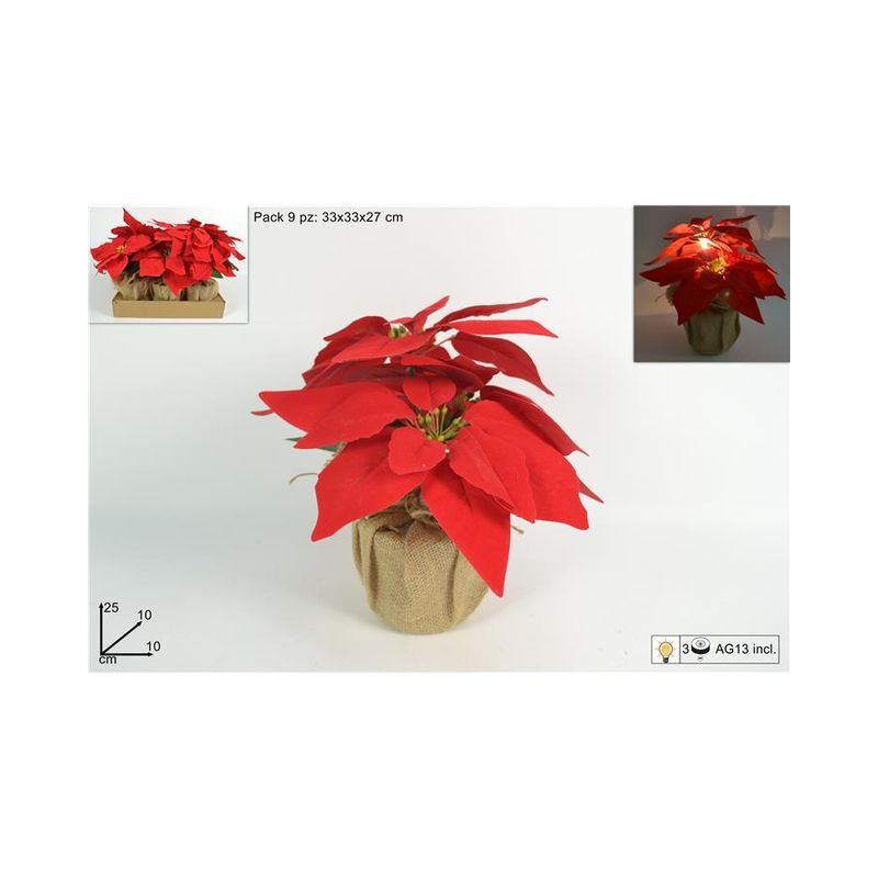 PIANTINA STELLA DI NATALE IN SACCHETTO J EAN 8033113775215 INGROSSO FIORI FINTI NATALIZI PIANTINA STELLA DI NATALE IN SACCHETTO J EAN 8033113775215 INGROSSO FIORI FINTI NATALIZI
