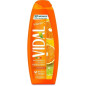 VIDAL BAGNO 500ML. NEW VITAMINA C EAN 8008970057309 INGROSSO DOCCIA SCHIUMA VIDAL BAGNO 500ML. NEW VITAMINA C EAN 8008970057309 INGROSSO DOCCIA SCHIUMA