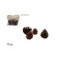 BUSTA PIGNE 75GR EAN 8033113455926 INGROSSO ARTICOLI DECORAZIONI NATALIZIE BUSTA PIGNE 75GR EAN 8033113455926 INGROSSO ARTICOLI DECORAZIONI NATALIZIE