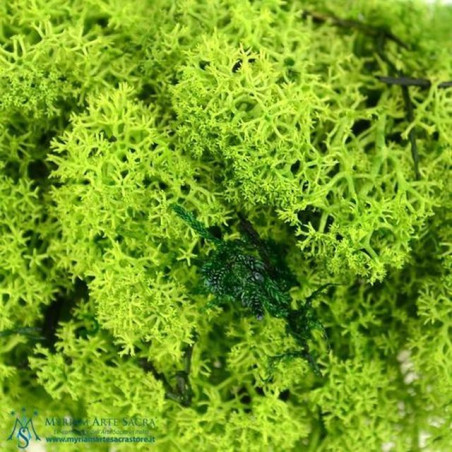 INGROSSO ARTICOLI NATALIZI MUSCHIO NORDICO VERDE 8024949005331 INGROSSO PRESEPE E ACCESSORI ACCESSORI PER IL PRESEPE