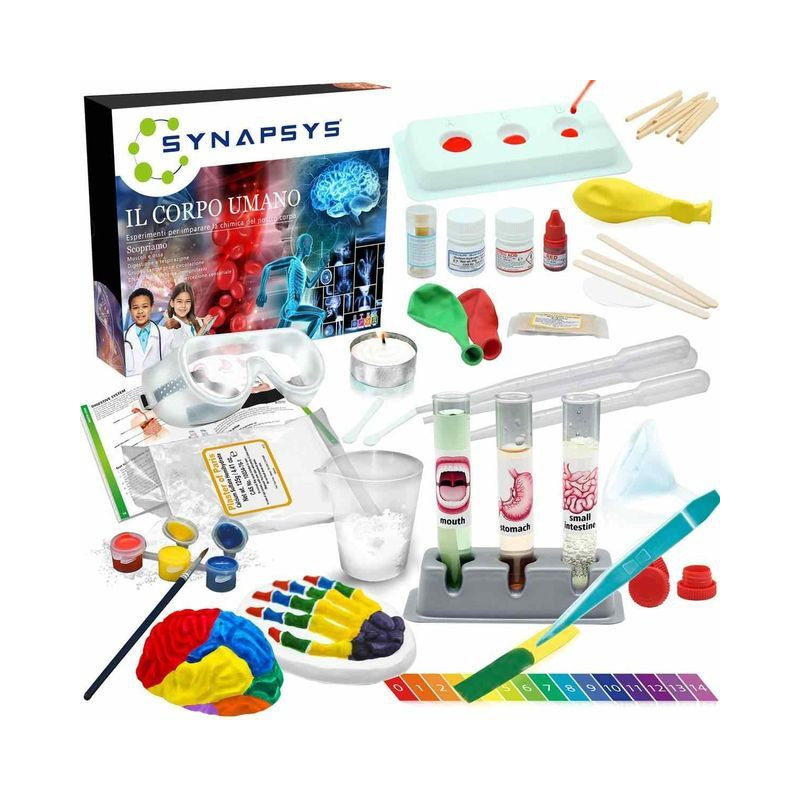 SYNAPSYS IL CORPO UMANO EAN 8057457731911 INGROSSO GIOCHI CREATIVI