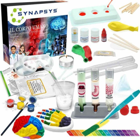 INGROSSO GIOCATTOLI SYNAPSYS IL CORPO UMANO 8057457731911 GIOCHI E GIOCATTOLI GIOCHI DIDATTICI E CREATIVI