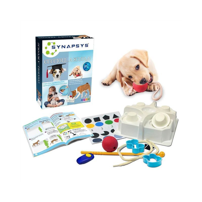 SYNAPSYS CUCCIOLI...A SCUOLA EAN 8057457731959 INGROSSO GIOCHI CREATIVI