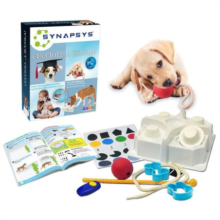 INGROSSO GIOCATTOLI SYNAPSYS CUCCIOLI...A SCUOLA 8057457731959 GIOCHI E GIOCATTOLI GIOCHI DIDATTICI E CREATIVI
