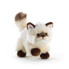 INGROSSO PELUCHE GATTO COLOR POINT L. 21CM THAYTOO 8029956157059 PELUCHE ANIMALI PELUCHE MORBIDOSI