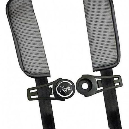 INGROSSO PUERICULTURA BLOCCA SPALLINE PER SEGGIOLINO E ZAINO 3662332018268 PRODOTTI PUERICOLTURA ACCESSORI AUTO PER BIMBI