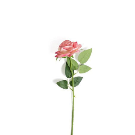 CASALINGHI ROSA ROSA 9