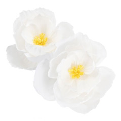 FIORI DEC. CARTA BIANCO 40/50CM 2PZ EAN 8010052407629 INGROSSO ACCESSORI PARTY